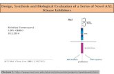 Design ,  Synthesis  and  Biological Evaluation of  a  Series of Novel  AXL  Kinase Inhibitors