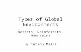 Types of Global Environments