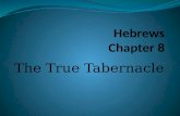 Hebrews Chapter 8
