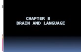 Chapter 8   Brain and Language