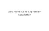 Eukaryotic Gene Expression Regulation