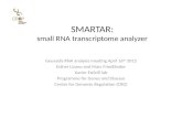 SMARTAR: small RNA  transcriptome  analyzer