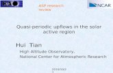 Quasi-periodic  upflows  in the solar active region