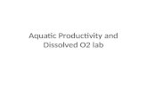Aquatic Productivity and Dissolved O2 lab