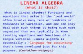 LINEAR ALGEBRA (what is that?)