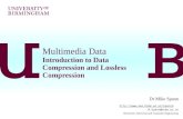 Multimedia Data Introduction to Data Compression and Lossless Compression