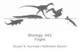 Biology 342 Flight Stuart S. Sumida / Kathleen Devlin
