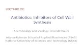 Antibiotics; Inhibitors of Cell Wall Synthesis