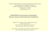 National Association of County Behavioral Health and  Developmental Disability Directors
