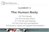 ELEMENT 3 The Human Body
