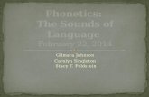 Phonetics:  The Sounds of Language  February 22, 2014