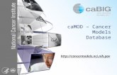 caMOD – Cancer Models Database