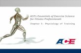 ACE’s Essentials of Exercise Science  for Fitness Professionals Chapter 5: Physiology of Training