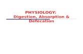 PHYSIOLOGY:  Digestion , Absorption & Defecation