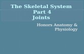 The Skeletal System Part 4 Joints