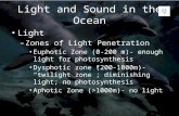 Light and Sound in the Ocean