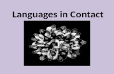 Languages in Contact