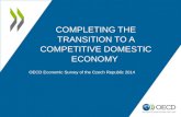 Completing the transition to a competitive domestic economy