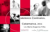 Protocolo Cuidado de Cateteres Centrales. Catamarca.  2011