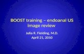 BOOST training –  endoanal  US image review