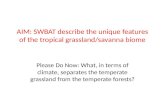AIM: SWBAT describe the unique features of the tropical grassland/savanna biome