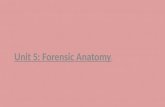 Unit 5: Forensic Anatomy :