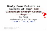 Newly Born Pulsars as Sources of  High and Ultrahigh  Energy Cosmic Rays