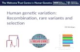 Human genetic variation: Recombination, rare variants and selection