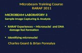 Microbeam Training Course  RARAF 2011