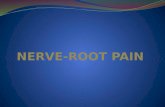 NERVE-ROOT PAIN