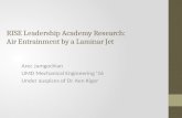 RISE Leadership Academy Research: Air Entrainment by a Laminar Jet