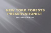 New York Forests Preservationist