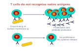 T cells do not recognise native antigens