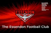 The Essendon Football Club