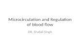 Regulation of blood flow