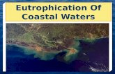 Eutrophication  Of Coastal Waters