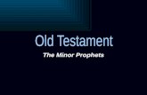 The  Minor Prophets