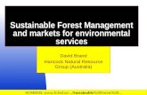 Sustainable Forest Management and markets for environmental services
