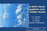 The MJO Cloud Population over the  Indian Ocean
