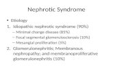 Nephrotic  Syndrome