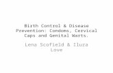 Birth Control & Disease Prevention: Condoms, Cervical Caps and Genital Warts.