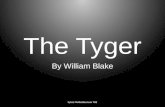 The  Tyger