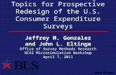 Some Cost-Modeling Topics for Prospective Redesign of the U.S. Consumer Expenditure Surveys