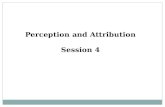 Perception and Attribution Session 4