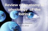 Review of anatomy & physiology  of the Retina