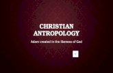 Christian  Antropology