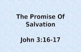 The Promise Of Salvation John 3:16-17