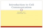 Introduction to Cell Communication
