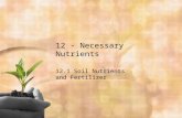 12 - Necessary Nutrients