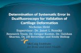 Determination of Systematic Error in  Dualfluoroscopy  for Validation of Cartilage Deformation